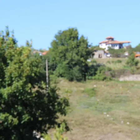 Kalimantsi Warna